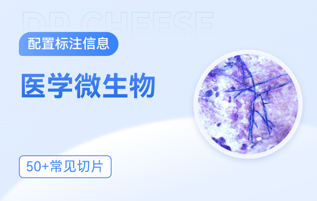 医学微生物