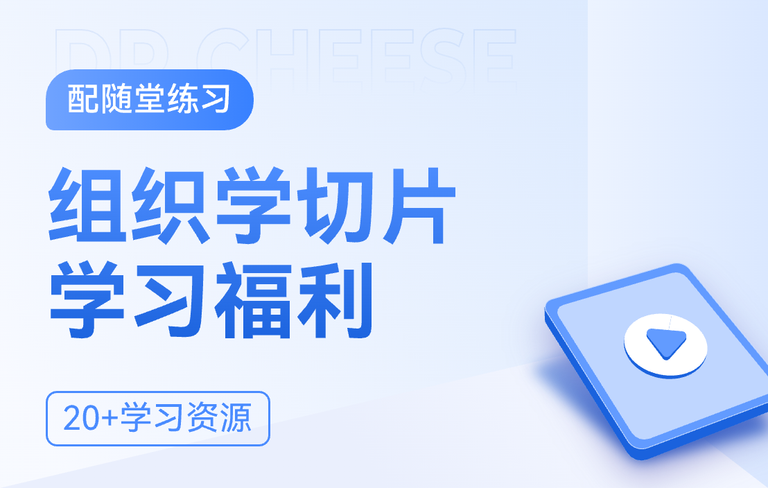 组织学数字切片学习福利