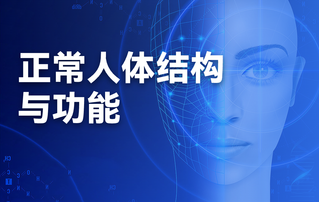 正常人体结构与功能