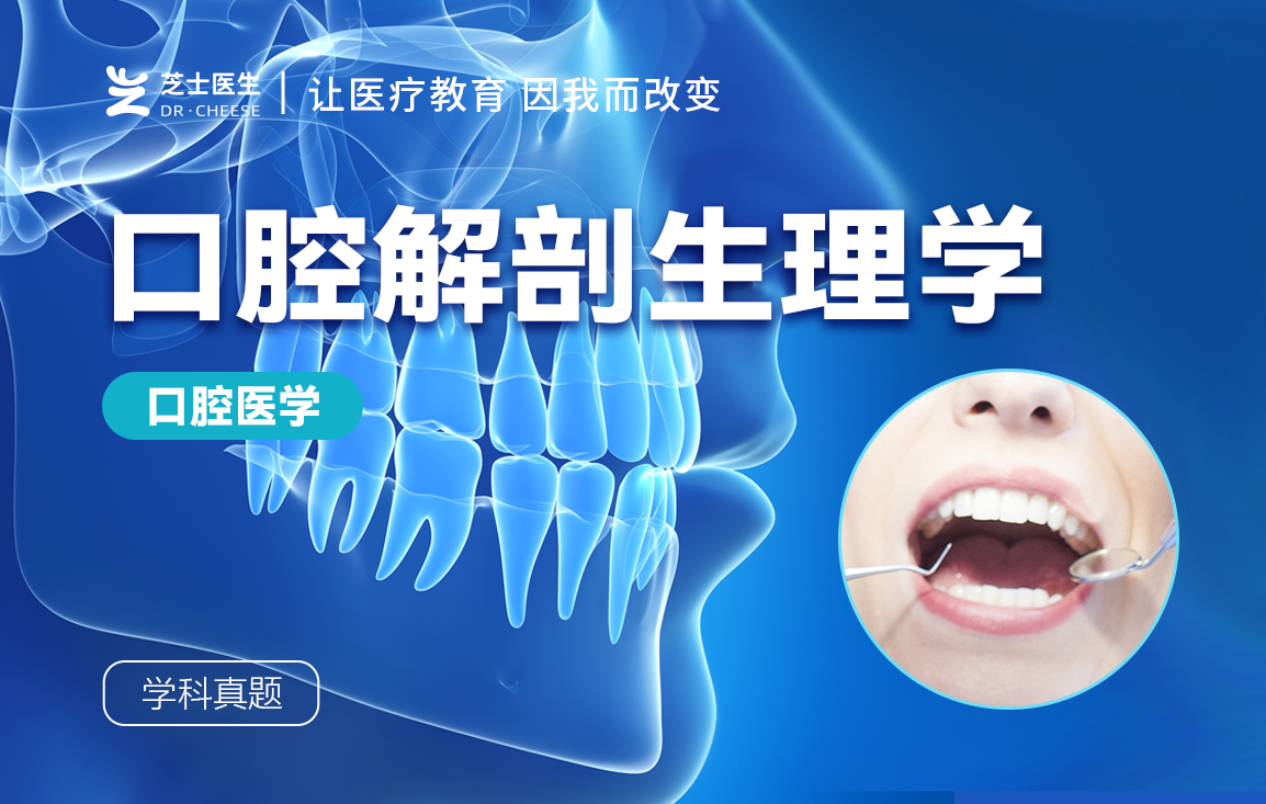 口腔解剖生理学