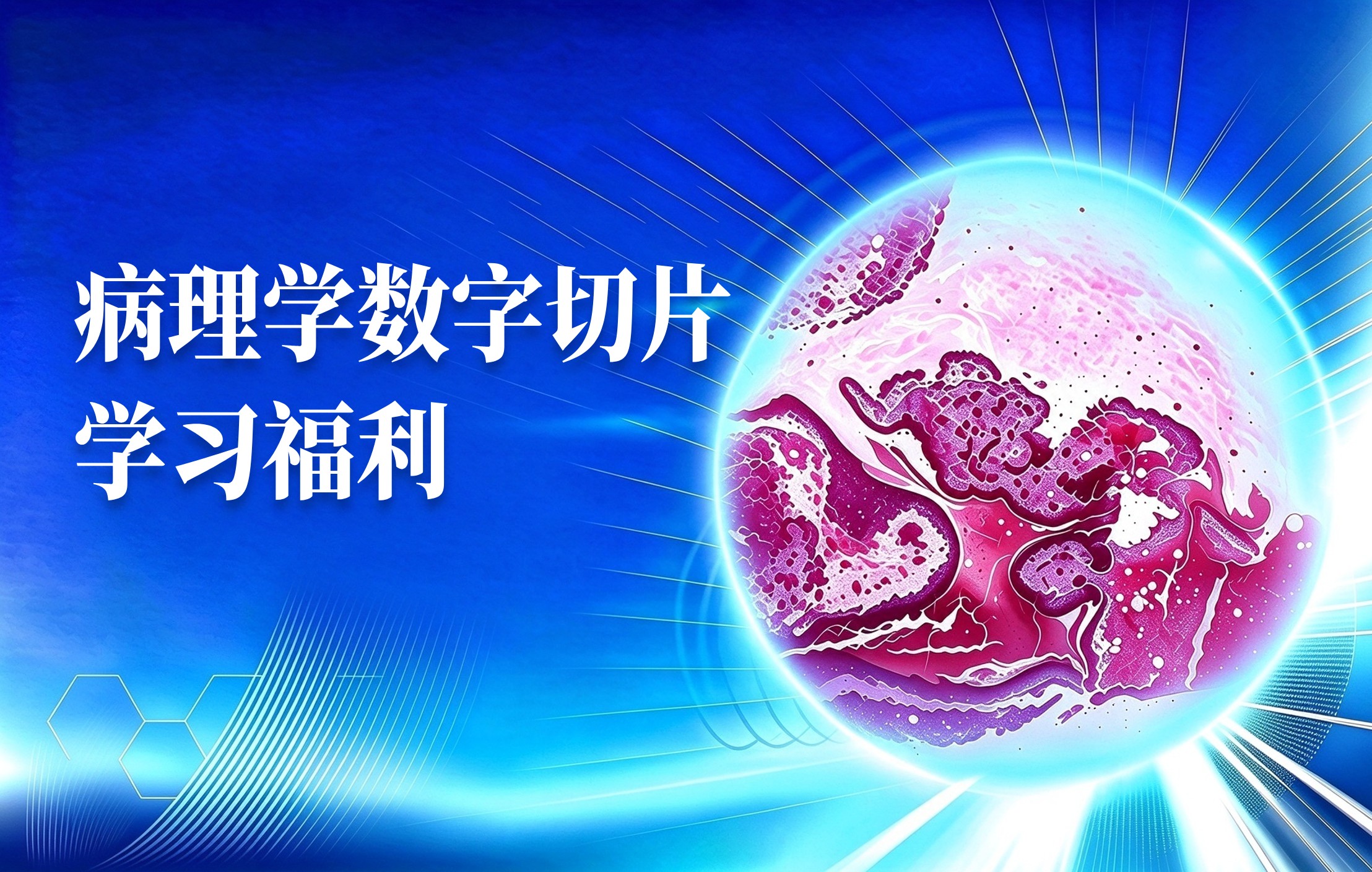 病理学数字切片学习福利