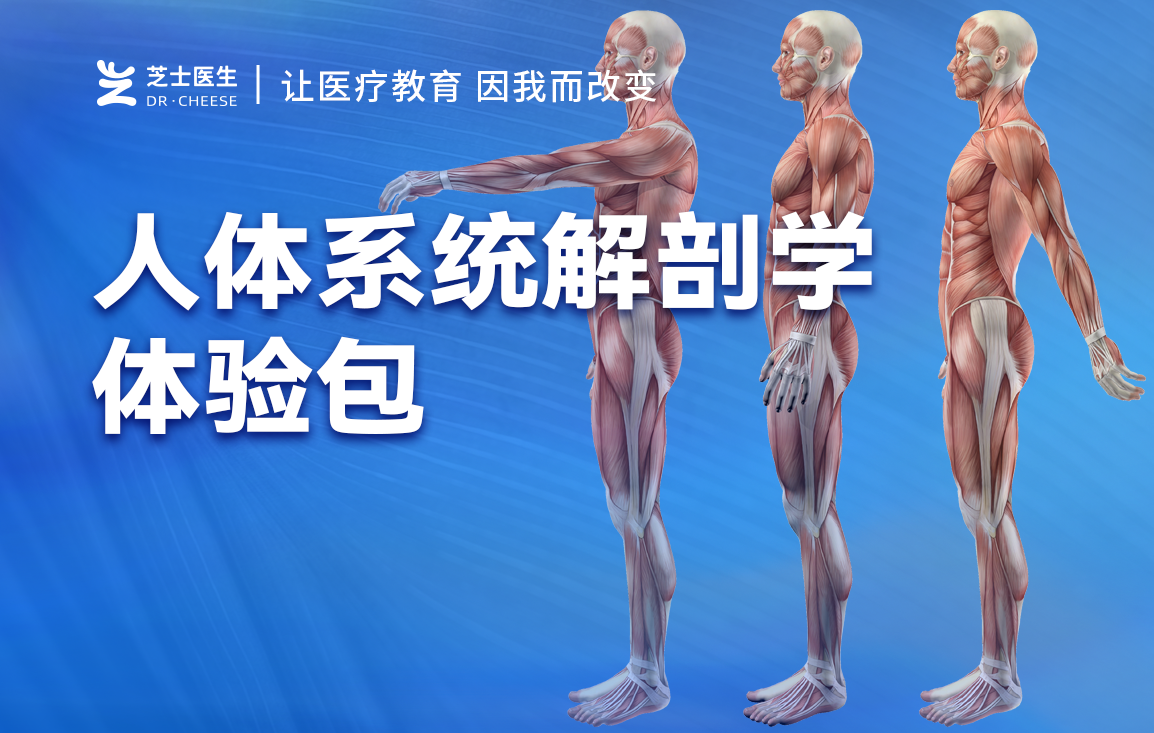 人体系统解剖学学习体验包