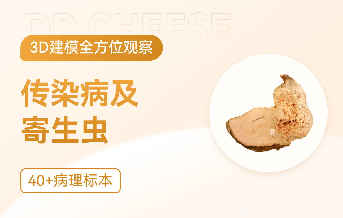 传染病及寄生虫病病理标本
