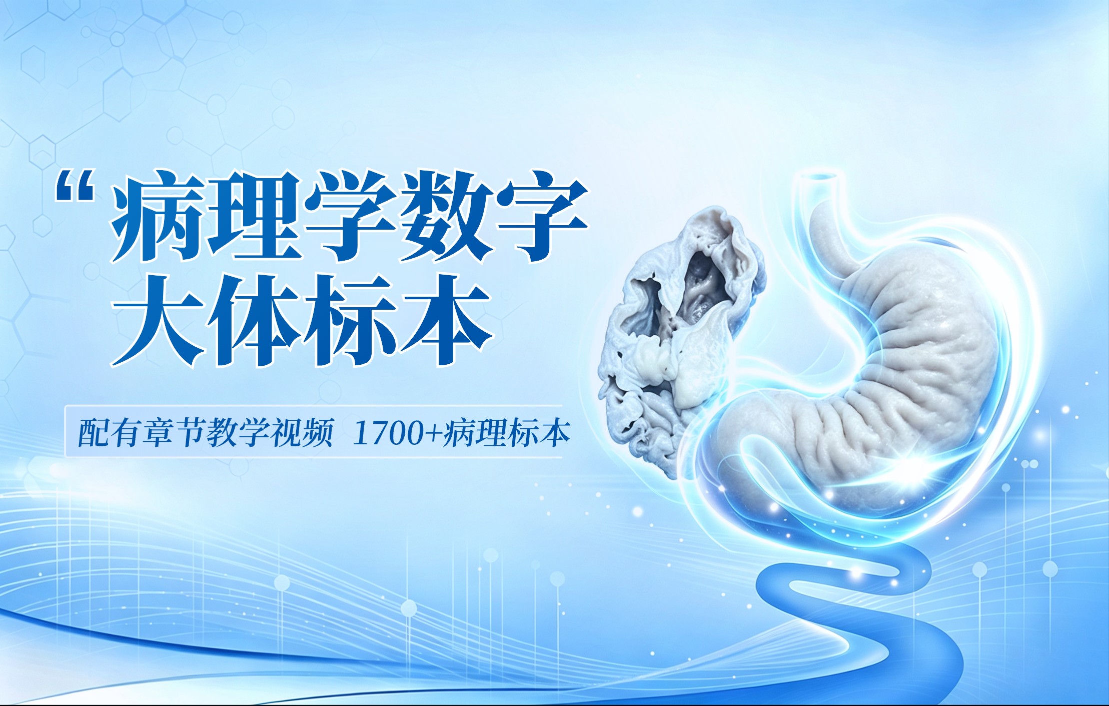 病理学总论标本