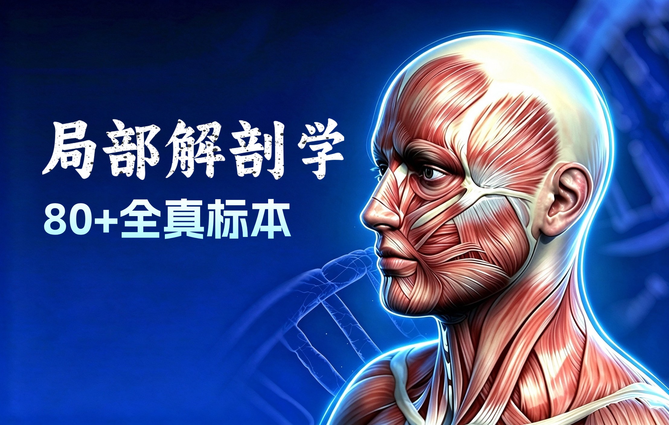 局部解剖学