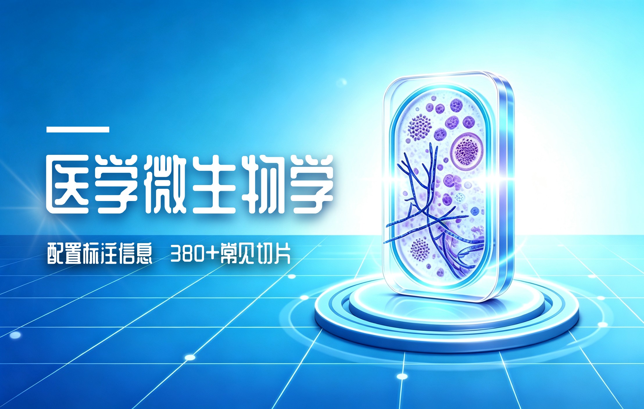 医学微生物