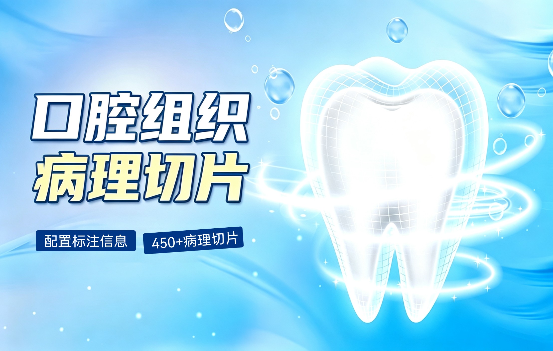 口腔病理切片