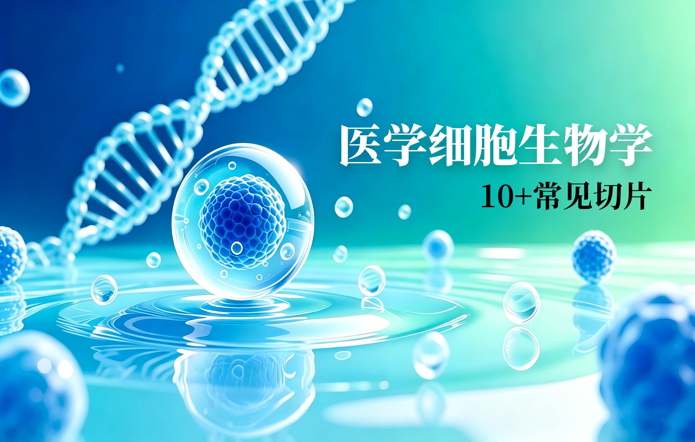 细胞生物学学习福利
