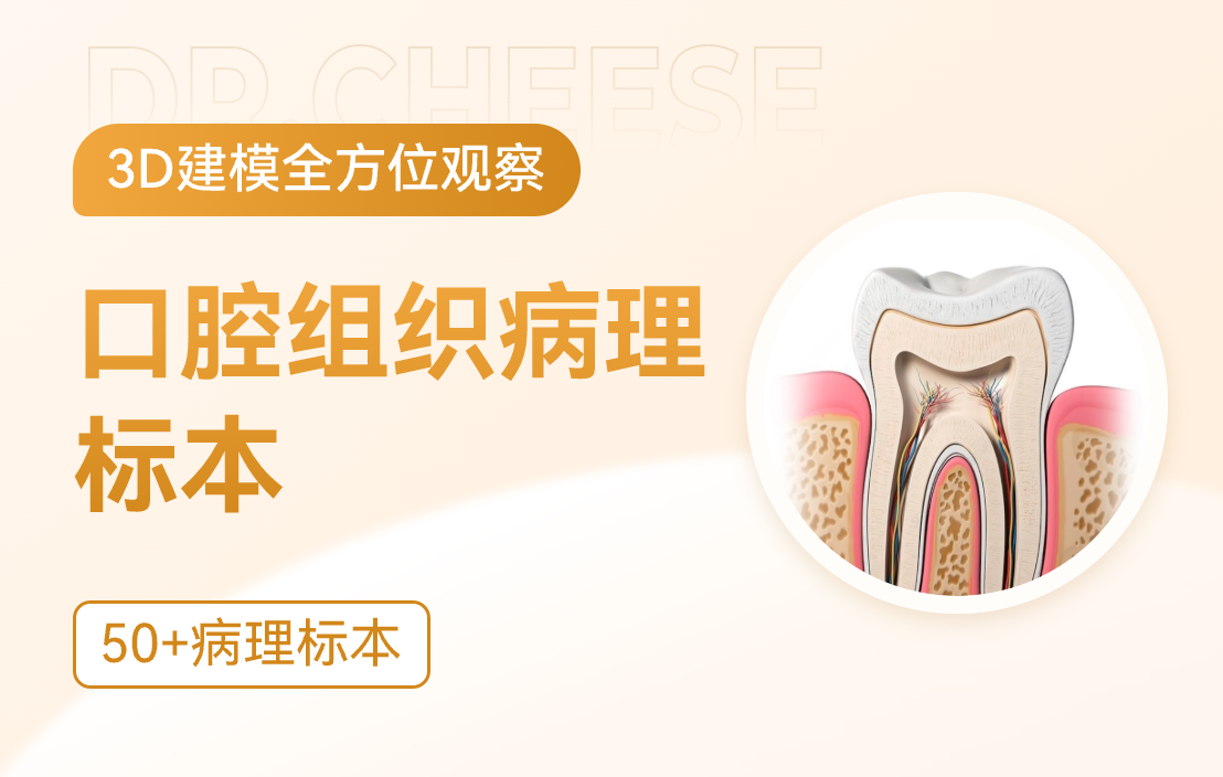 口腔病理标本
