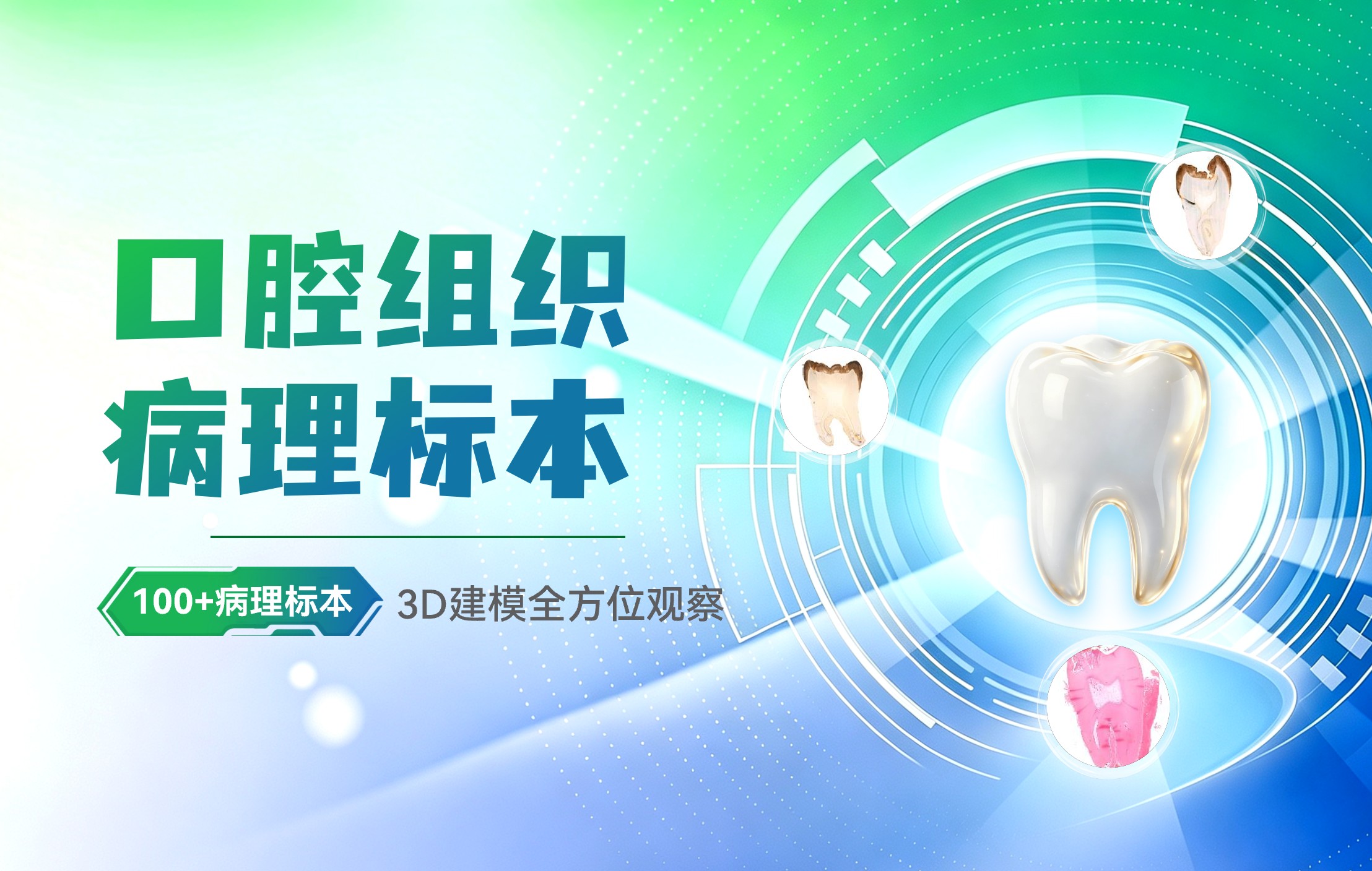 口腔病理标本