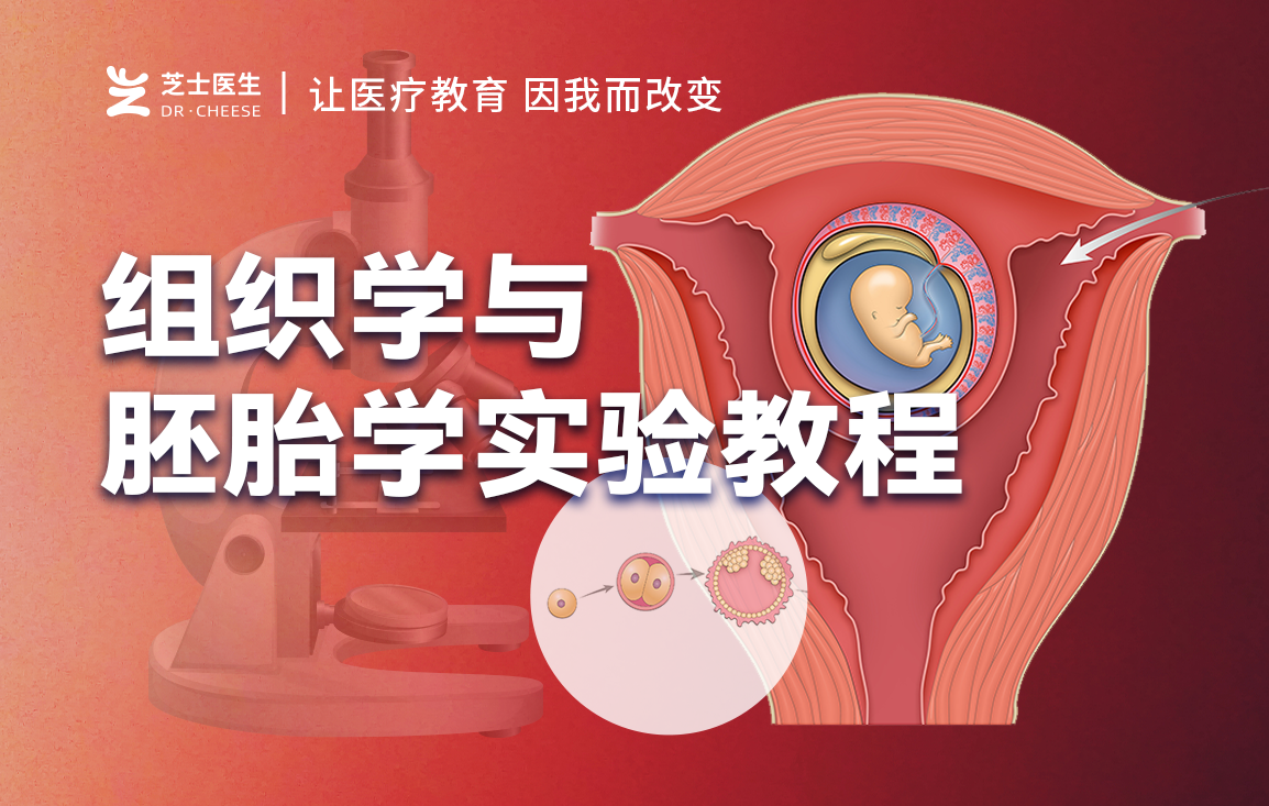 组织学与胚胎学实验教程