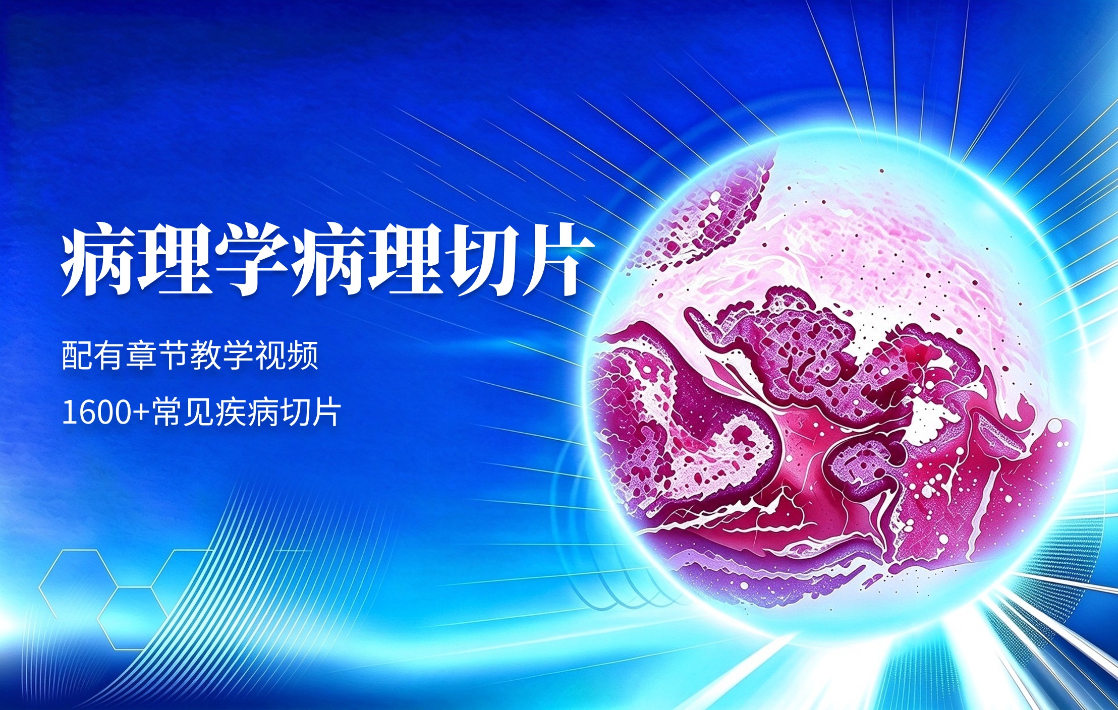 大赛-病理学数字切片