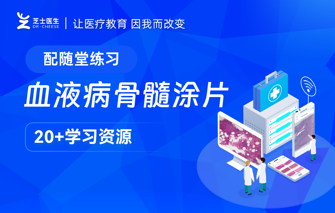 血液病骨髓涂片