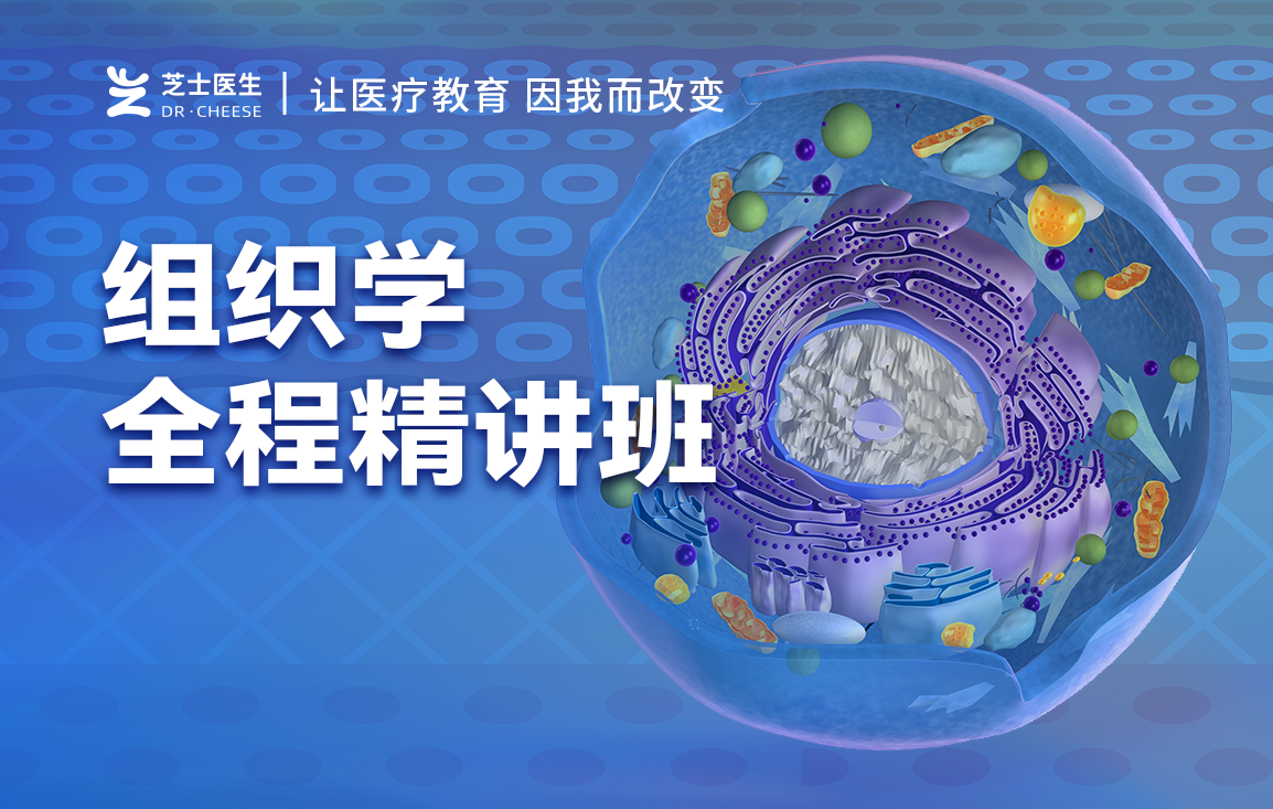 【基础医学】组织学精讲