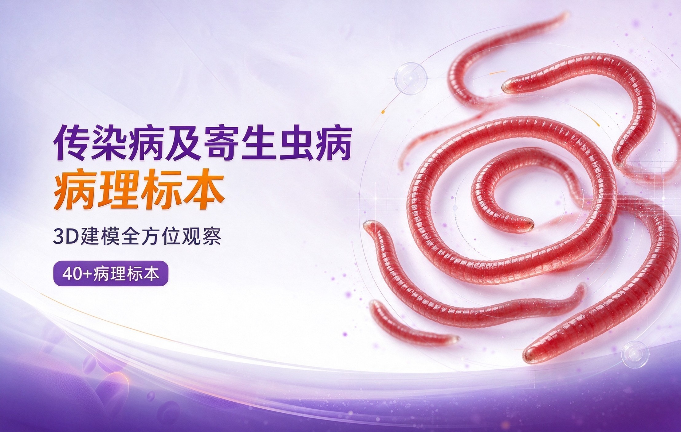 传染病及寄生虫病病理标本
