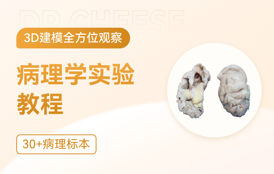 病理学实验教程