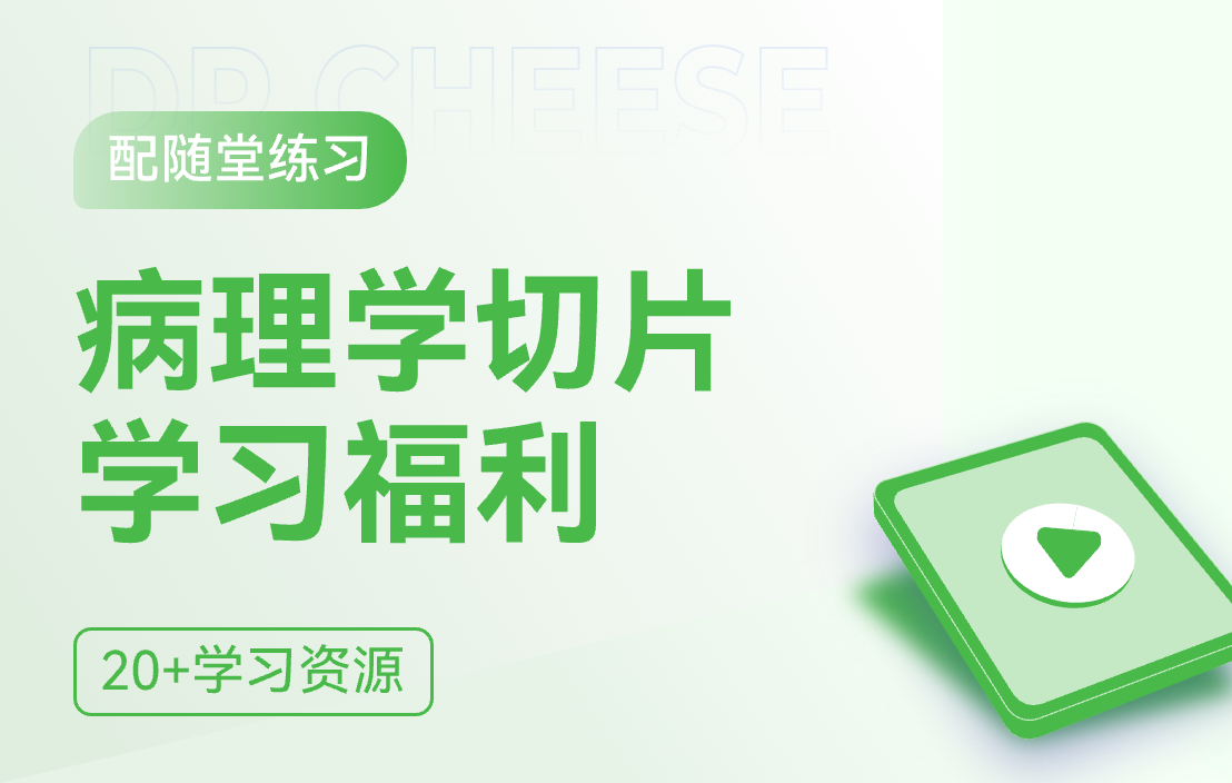 病理学数字切片学习福利