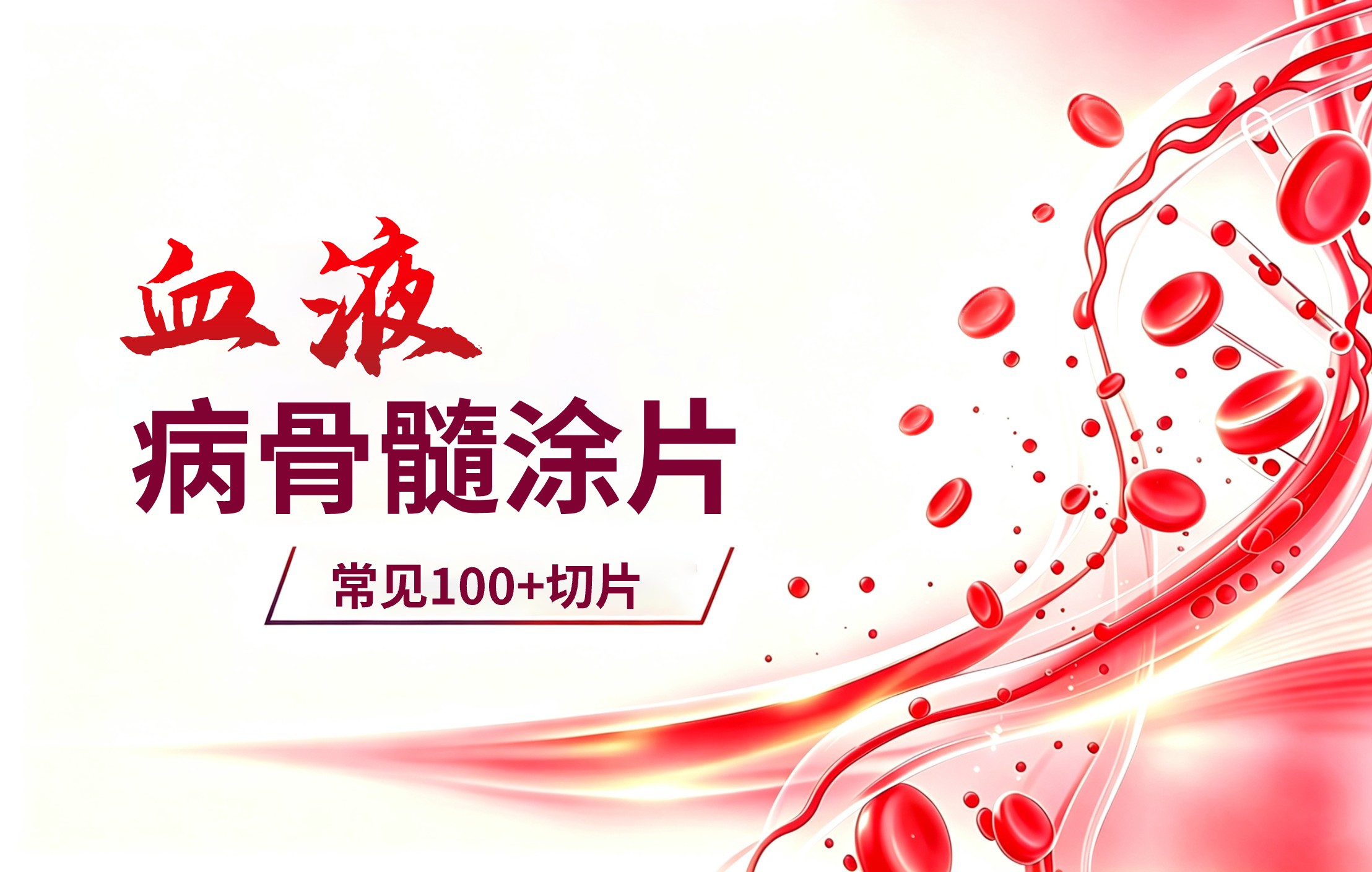 血液病骨髓涂片