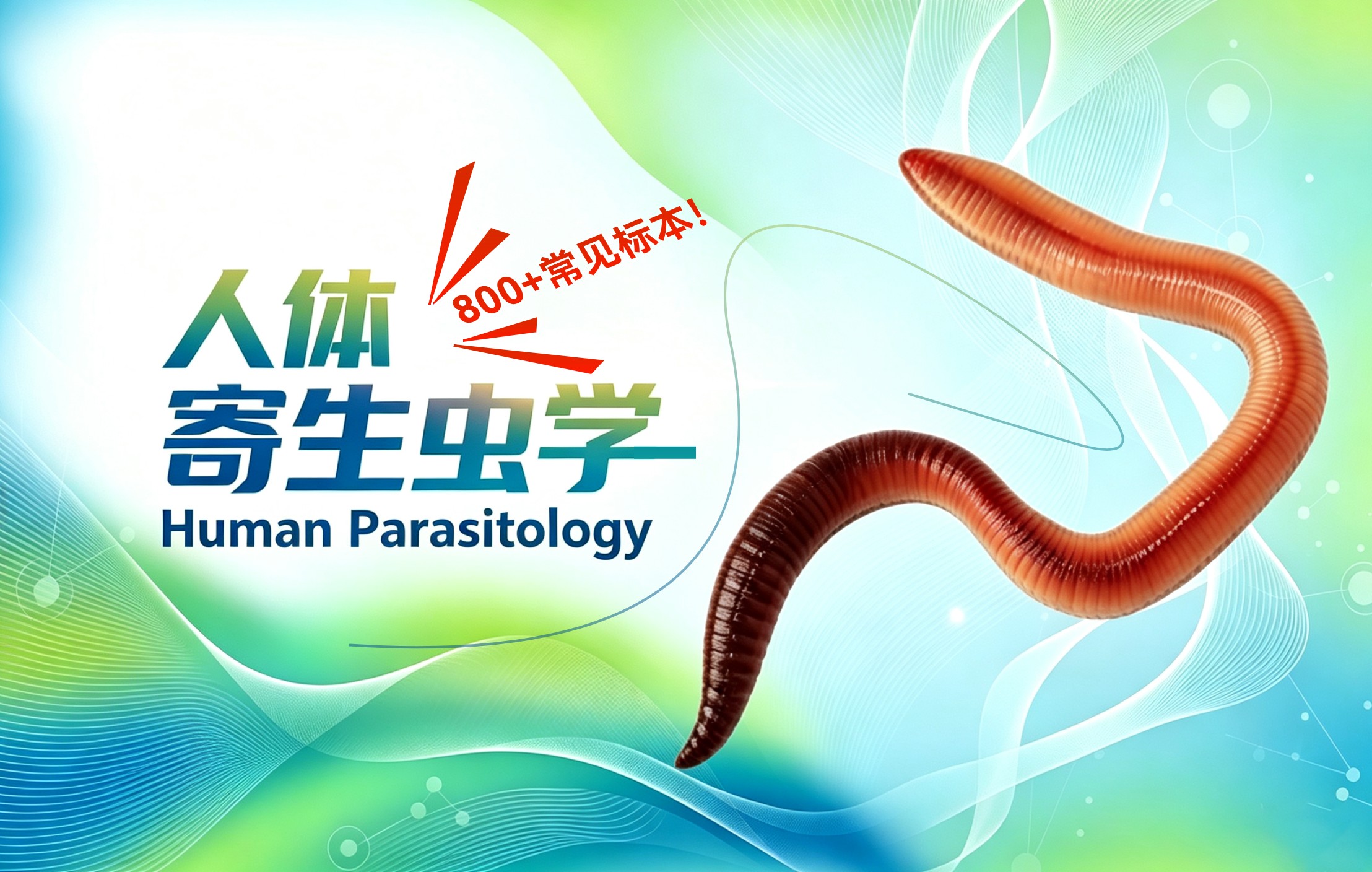人体寄生虫学